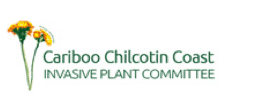 Cariboo Chilcotin Coast Invasive Plant Committee (CCCIPC)