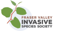 Fraser Valley Invasive Species Society (FVISS)