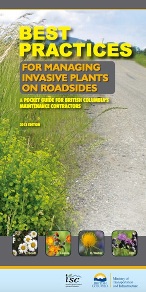 Best Practices for Managing Invasive Plants on Roadsides