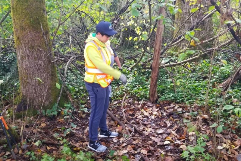 Volunteer Projects - Invasive Species Council of British Columbia