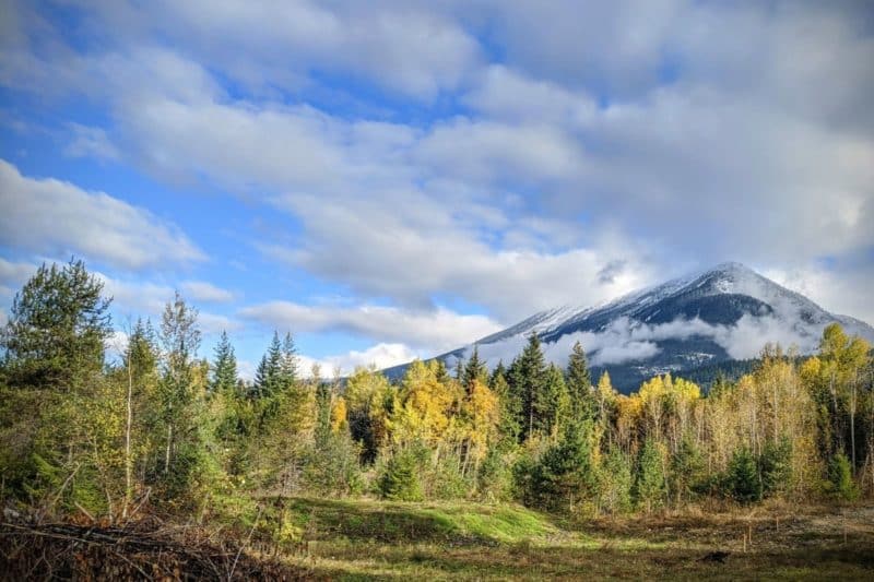 Blanket Creek Provincial Park Restoration Project
