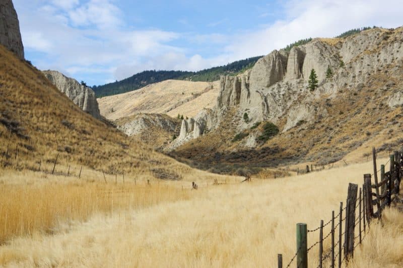 ISCBC Explores the Protection of BC’s Grasslands