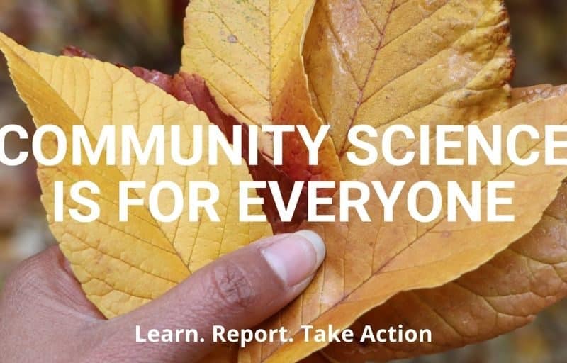 ISCBC Launches Community Science Network