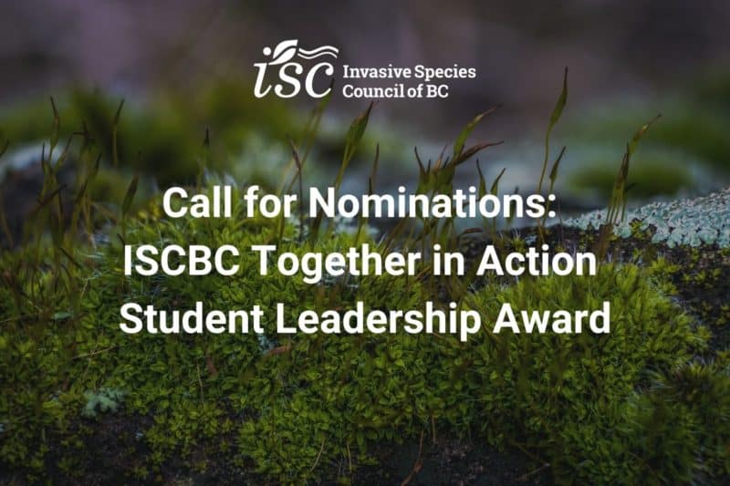 Call for Nominations: The ISCBC Together in Action Student Leadership Award