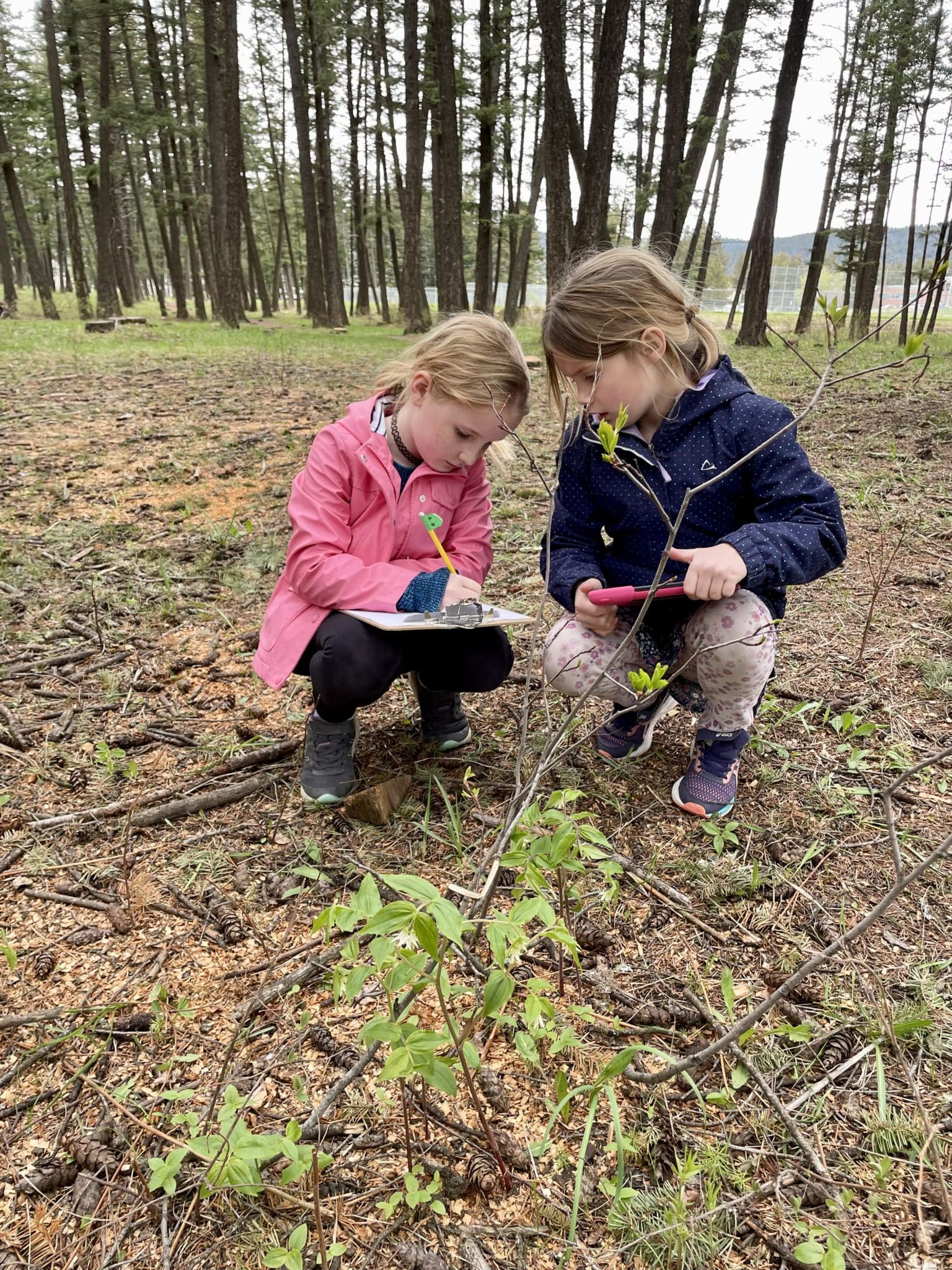 Calling All Educators! - Invasive Species Council Of British Columbia