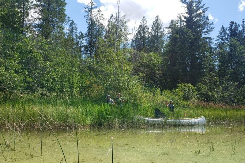 ISCBC Wet and Wild BioBlitz – September 17 & 18, 2022