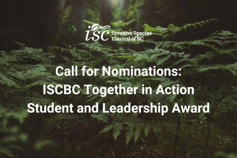 Call for Nominations: The ISCBC Together in Action Student Leadership Award