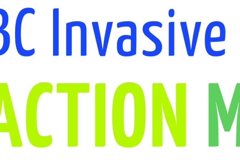 May is Invasive Species Action Month!