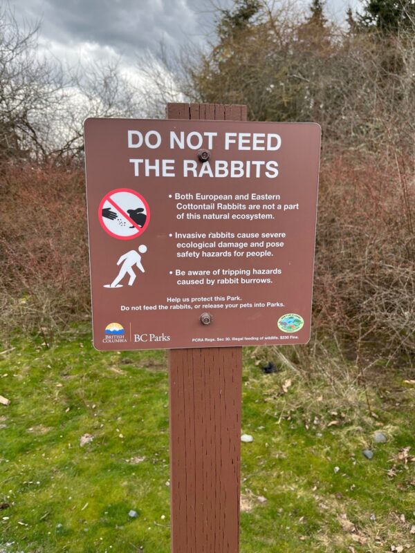 The Real Risk of Releasing the Easter Rabbit Invasive Species Council