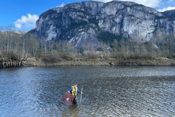 Home - Invasive Species Council Of British Columbia