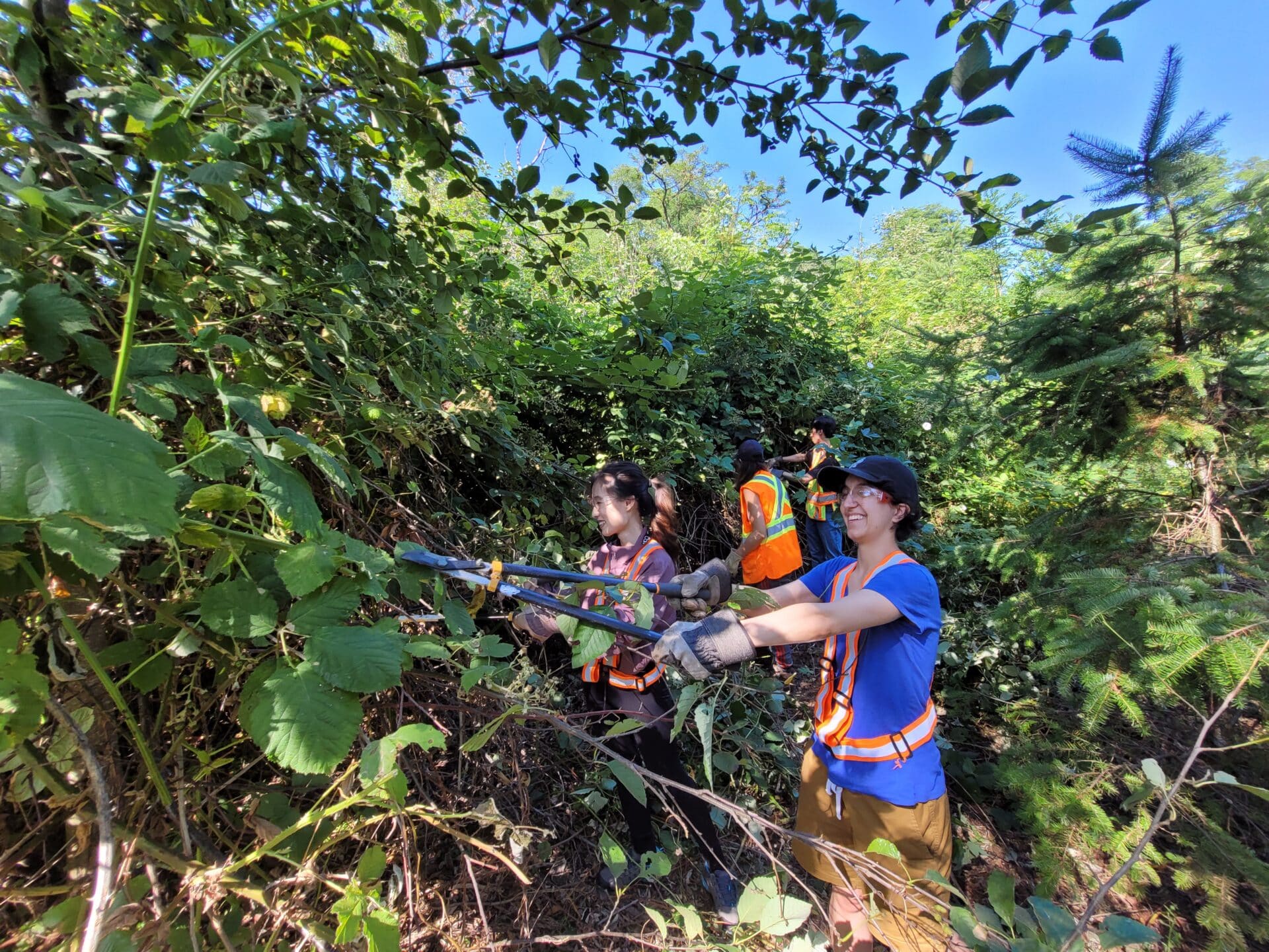 Invasive Species Council Of British Columbia