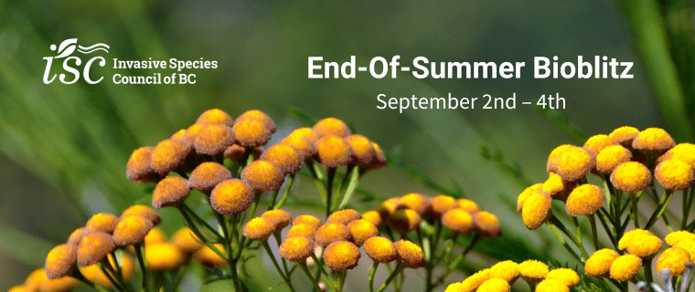 ISCBC End-of-Summer BioBlitz – September 2nd – 4th, 2023 