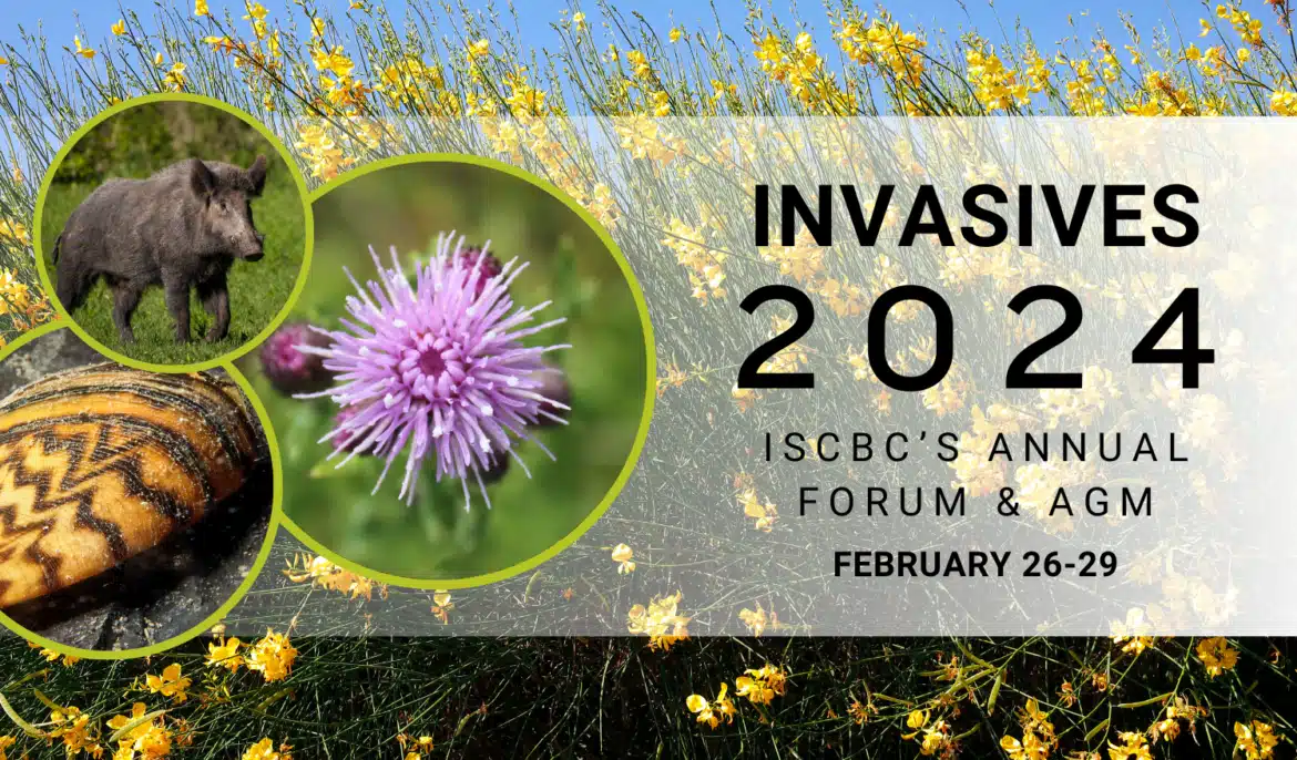 Invasives Forum 2024 - Invasive Species Council Of British Columbia