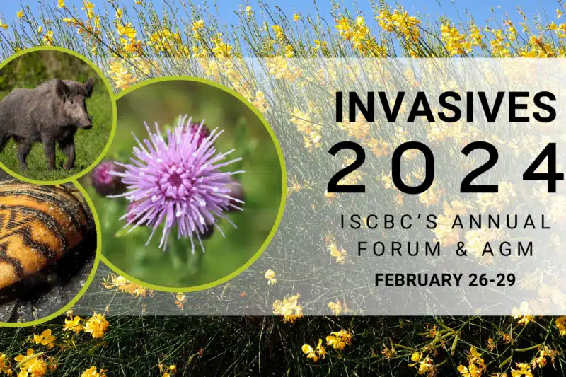 Invasives Forum 2024