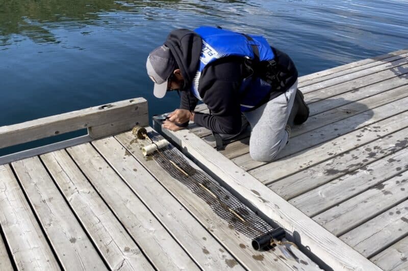 No Invasive Mussels Found in Cariboo for 7th Year in a Row