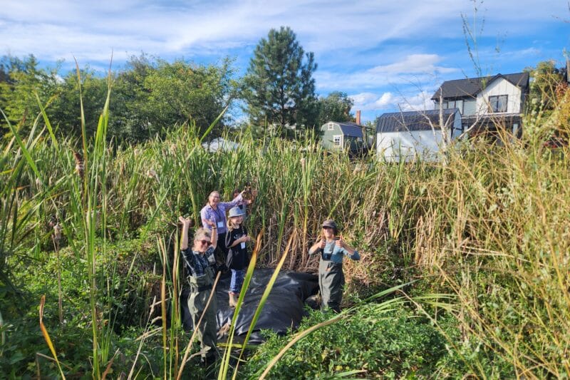 How Armstrong Volunteers Are Restoring Meighan Creek