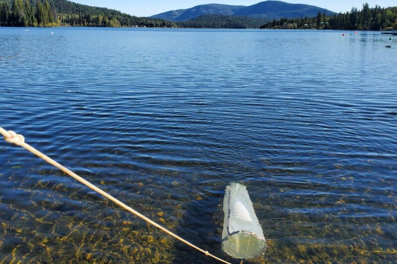 Monitoring for Invasive Mussels, One Lake At a Time!  